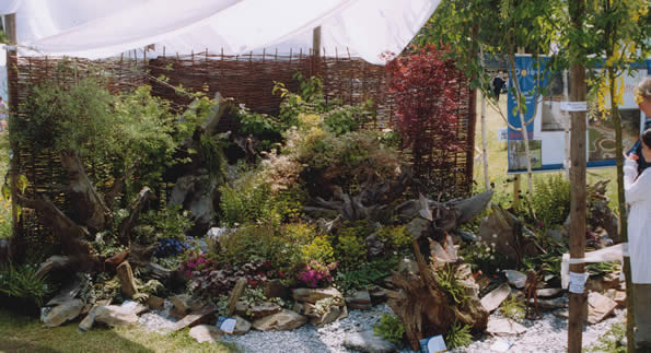 Dolby Garden